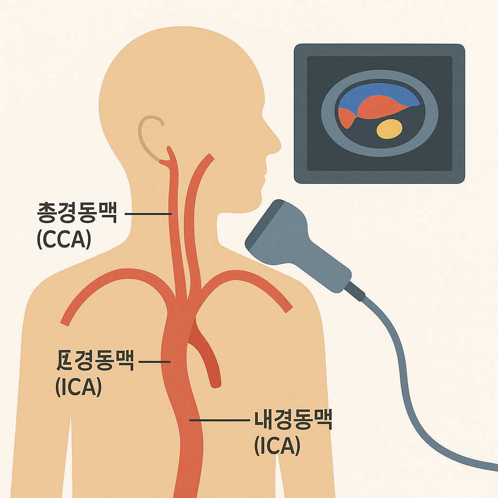 �浿�� ��ġ�� ���� �����׷���